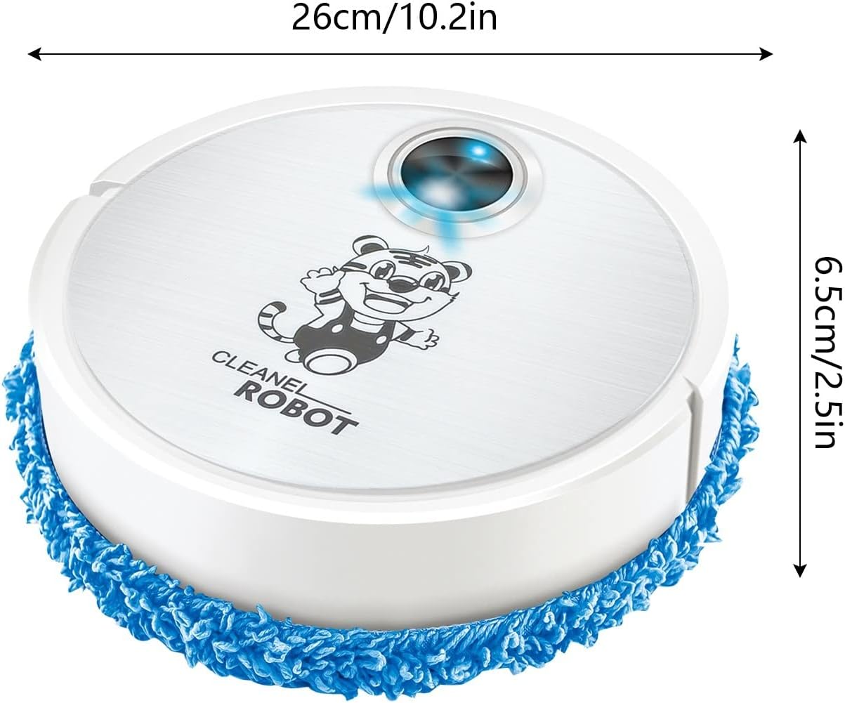 Intelligent Cleaning Robot