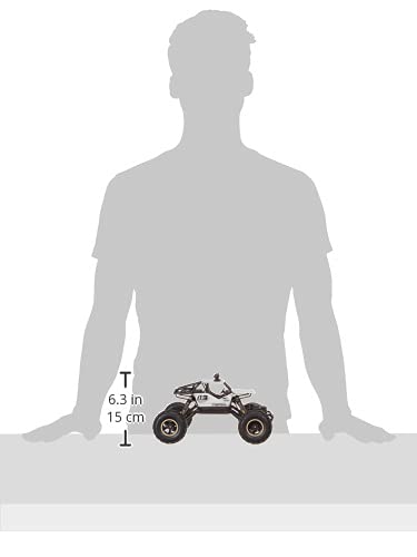 Ethnic Forest 1: 18 Rechargeable Rock Crawling 4WD 2.4 GHz 4x4 Rally Car Remote Control Monster Truck | Monster Truck Kids Toys, Multicolor
