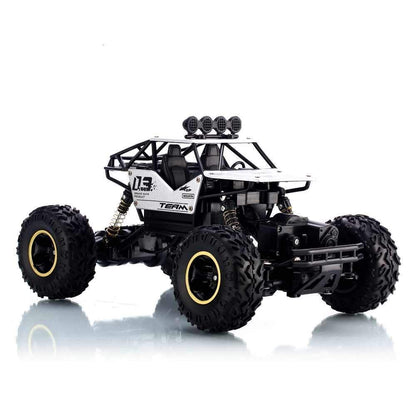 Ethnic Forest 1: 18 Rechargeable Rock Crawling 4WD 2.4 GHz 4x4 Rally Car Remote Control Monster Truck | Monster Truck Kids Toys, Multicolor