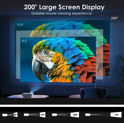 Multimedia projector